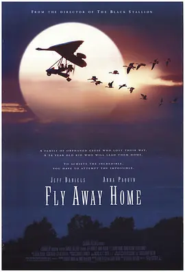 伴你高飞 Fly Away Home (1996...