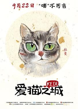 爱猫之城 Kedi (2016) 土耳其 ...