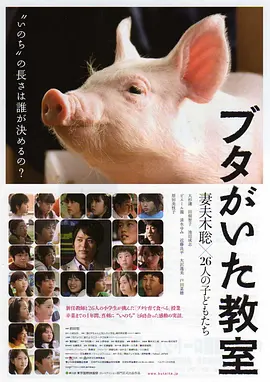 小猪教室 ブタがいた教室 (2008)日本 儿童