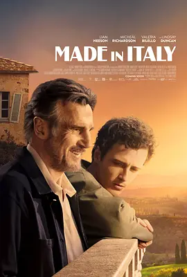 意大利制造 Made in Italy (20...