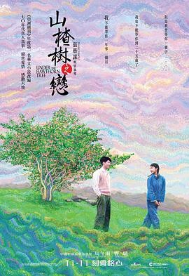 山楂树之恋 (2010) 爱情 主演:...