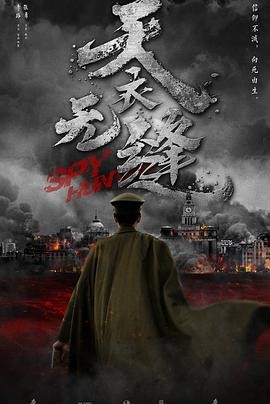 天衣无缝 (2019) 悬疑 主演: 秦...