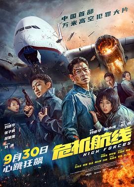 危机航线 (2024) 动作 / 犯罪 ...