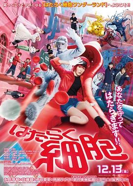 《工作细胞真人版》(2024)[附动漫全季]奇幻/剧情|永野芽郁佐藤健|细胞拟人化|豆瓣7.3分